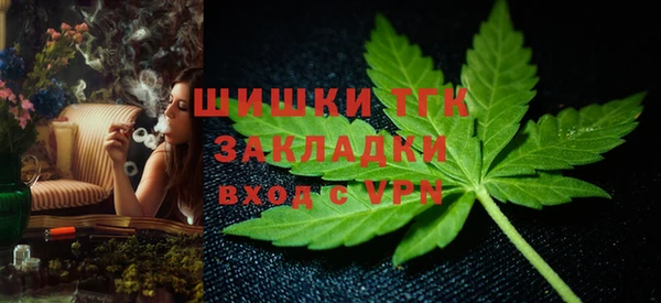 гидропоника Алзамай